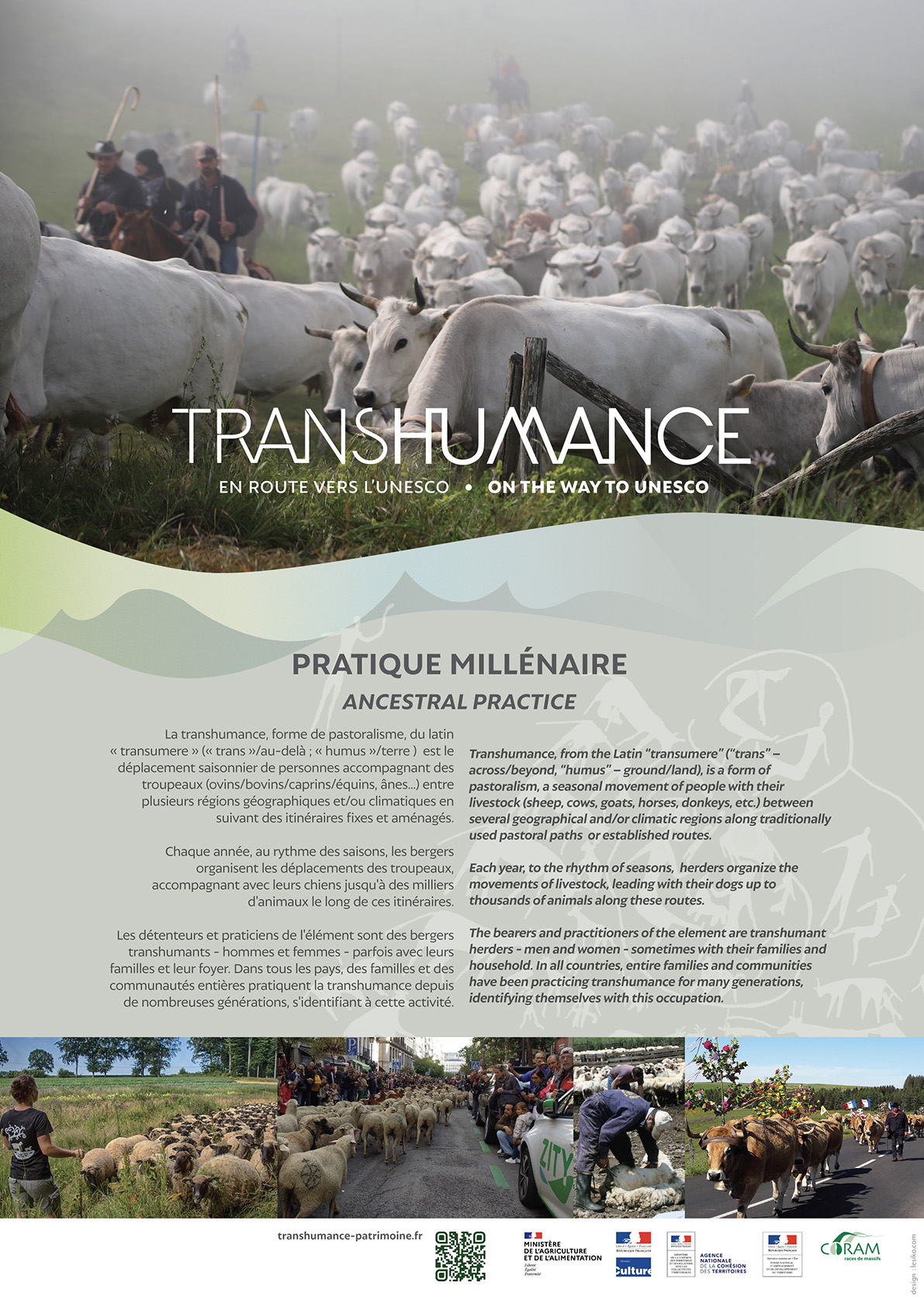Affiche en français et anglais : une pratique millénaire de la transhumance
