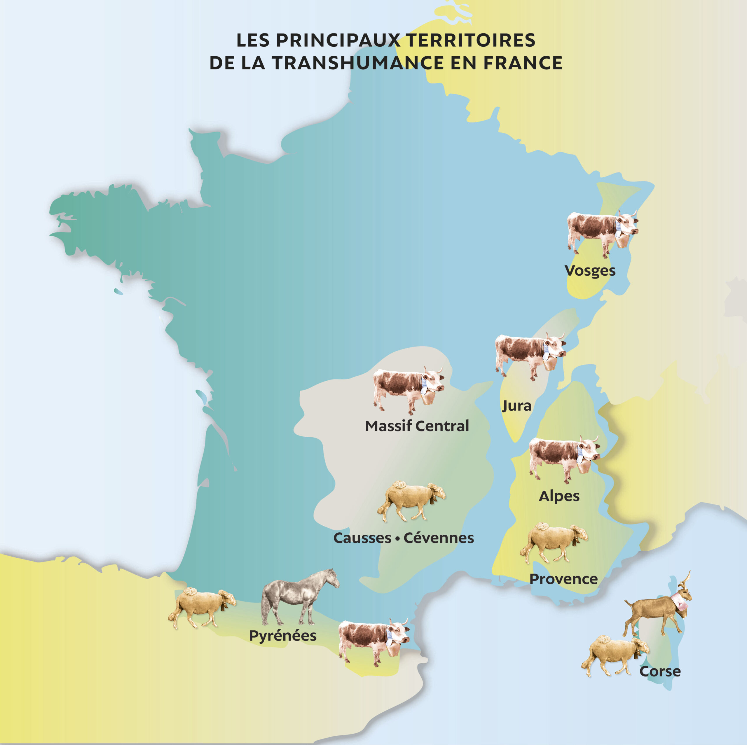 Carte-territoires-transhumance-France